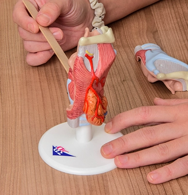 sprach probleme therapie in feldkirchen